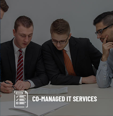 Co-Managed IT Services